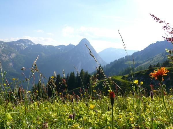 Gratzerhof Villa ซีดาร์เฮาส์ ภายนอก รูปภาพ